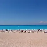 Palm *