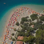 Villa Palm