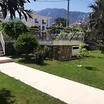 Palm فيلة *