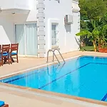 Palm فتحية