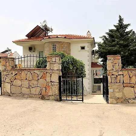 Palm فتحية