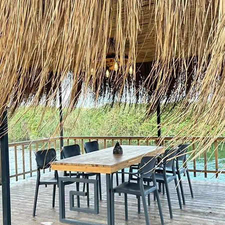 Chalet Palm *