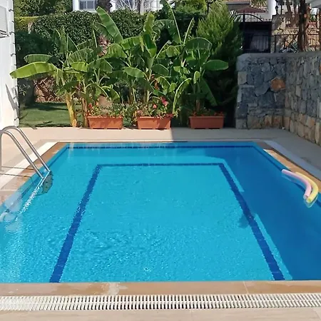 Palm Vilă *
